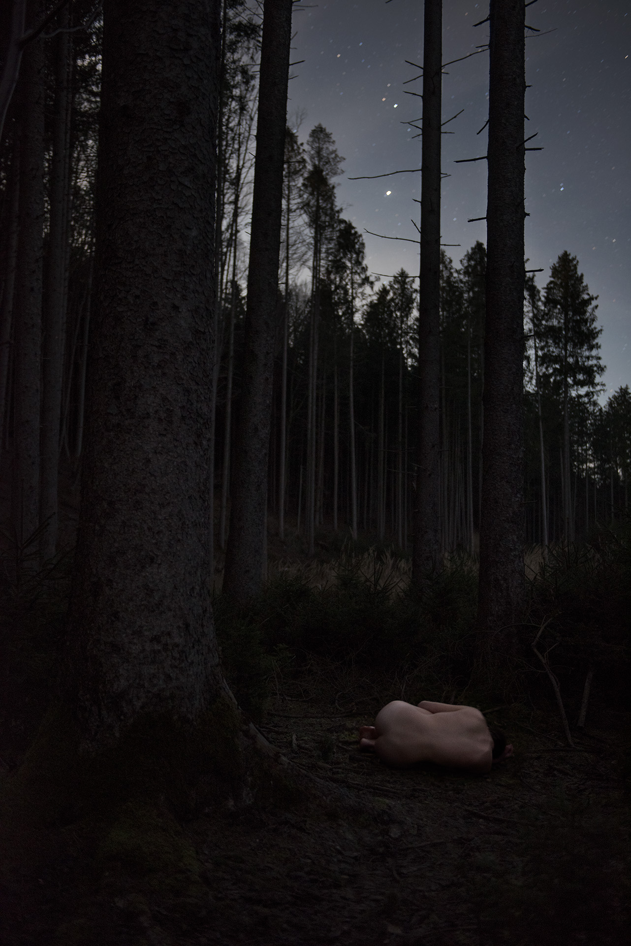 Last_60x40-shop-preview